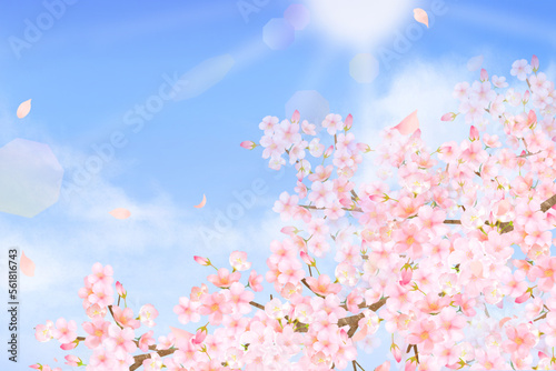 美しく華やかな桜の花と花びら舞い散る春の爽やか青空に光差し込む雲のフレーム背景 素材イラスト