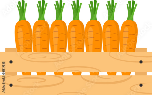 Wooden crate with carrots crop. Farmer's market, organic fresh vegetables or healthy eating theme. Vector illustration isolated on white background.