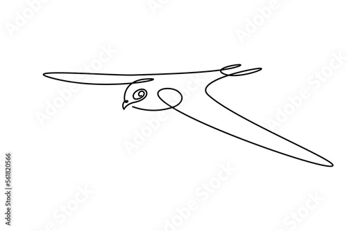 Bird of prey flying in continuous line art drawing style. Falcon in flight black linear design isolated on white background. Vector illustration