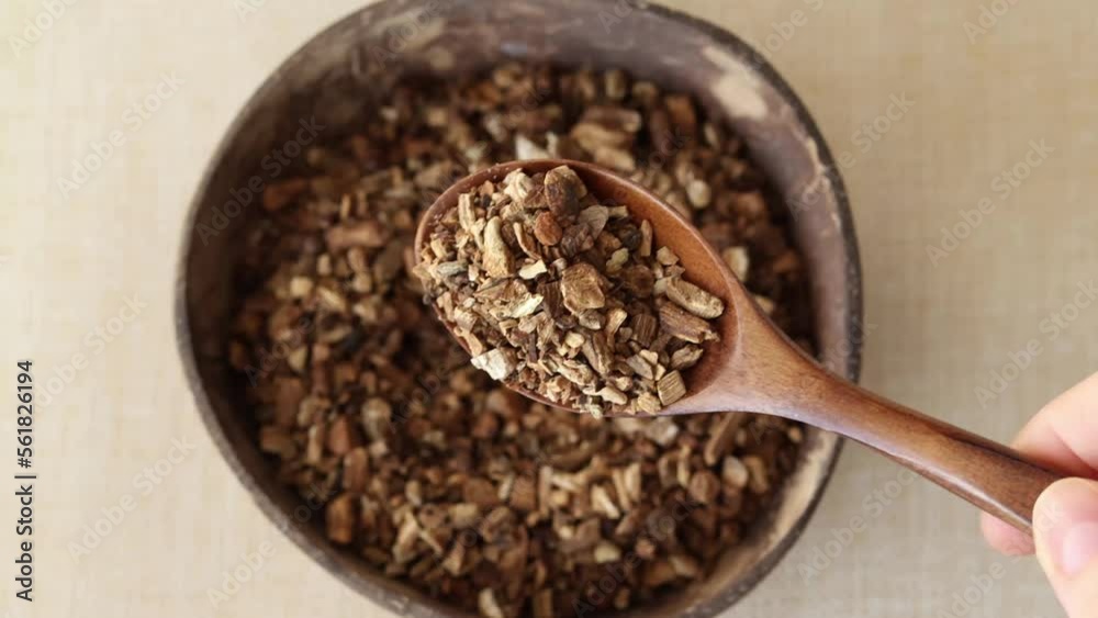 Dried burdock root for making medicinal tea in a wooden spoon on a beige background with a plate. Dried burdock root for making medicinal tea in a wooden spoon on a beige background with a plate.