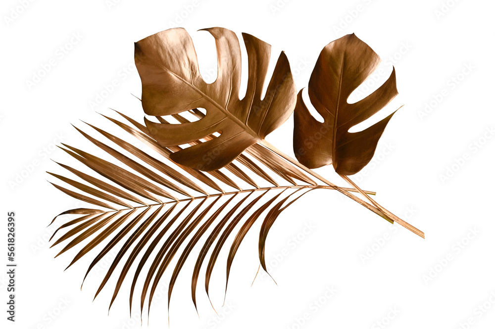 Tropical leaves in gold color on white space background.Abstract monstera leaf decoration design.clipping path - obrazy, fototapety, plakaty 
