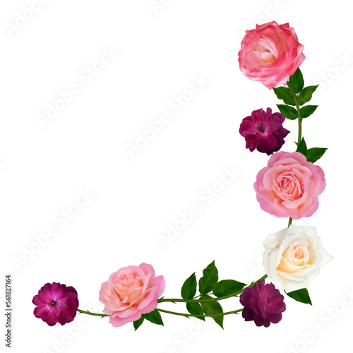 Red and pink roses. Floral pattern. Flowers. Leaves. Isolated. Border.