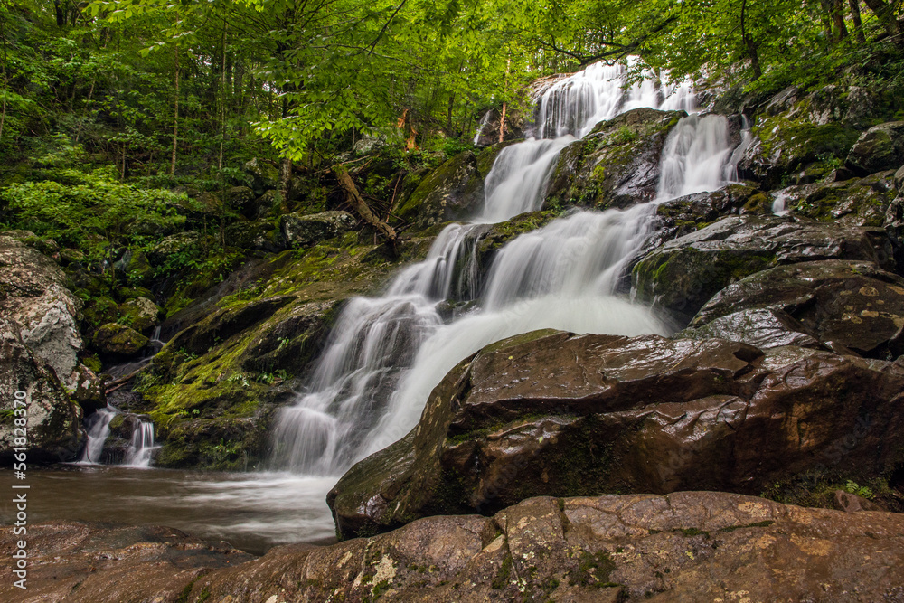 Beautiful Dark Hollow Falls in Shenandoah National Park, Virginia USA.