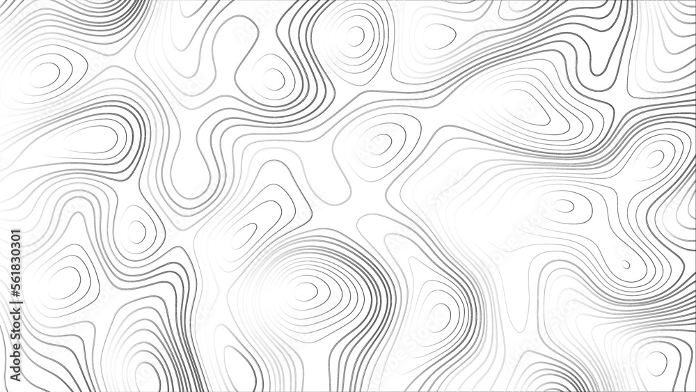 Abstract background with lines Topographic map background. Abstract white topography vector background. Line topography map design. The concept of conditional geographical pattern and topography.	
