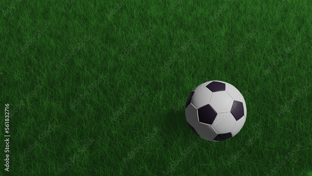 soccer ball on green grass 3D