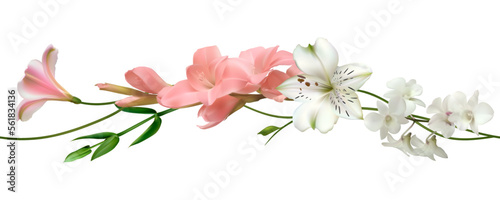 White flowers. Floral background. Green leaves. Eustoma. Lilies. Gladiolus. Seamless.