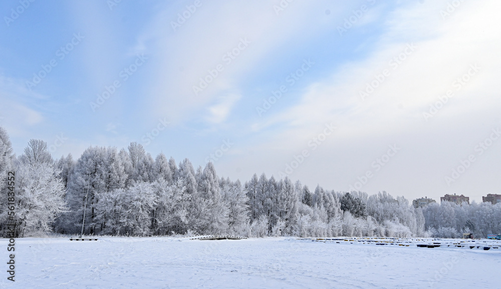 winter forest in frost, house in winter forest, frosty day