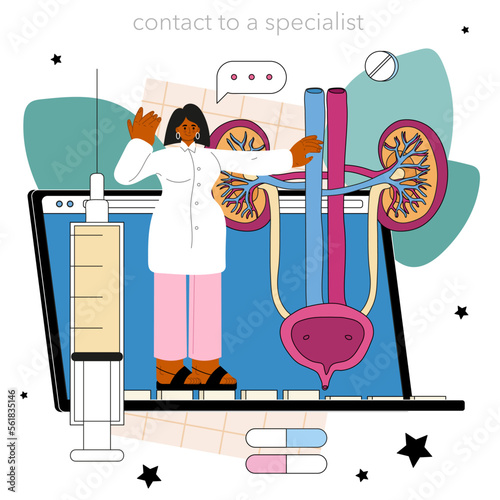 Urologist online service or platform. Urinary system examination,