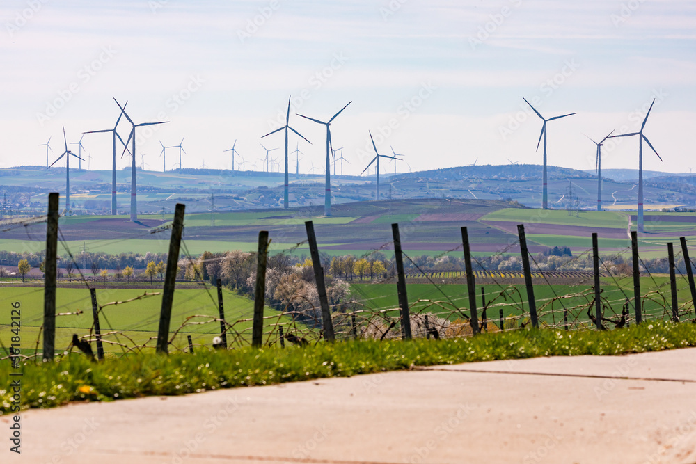 Farm road of a rural region with vineyards in front of a lot of wind turbines in the background