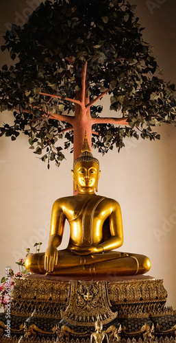 Photography Buddha sitzend unter dem Baum des Lebens