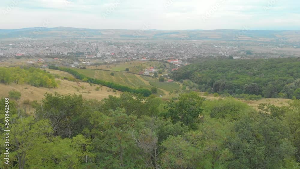 Aerial Shot Through The Trees Above The Forest