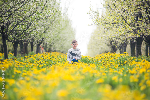 child  caucasian boy  running on the grass in orchard with blooming apple trees and dandelions on a spring day
