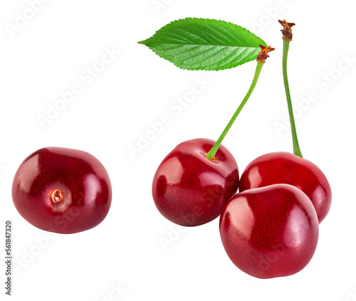 Cherry isolated