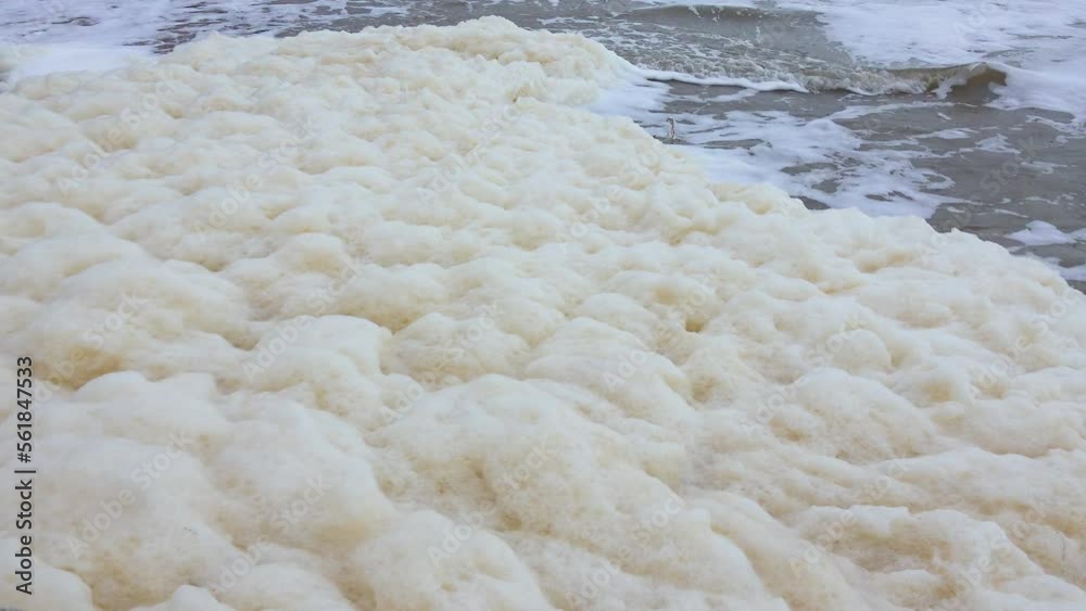Eutrophication and pollution of the sea, waves with dirty foam roll ashore during a storm, Black Sea Eutrophication and pollution of the sea, waves with dirty foam roll ashore during a storm, Black Sea