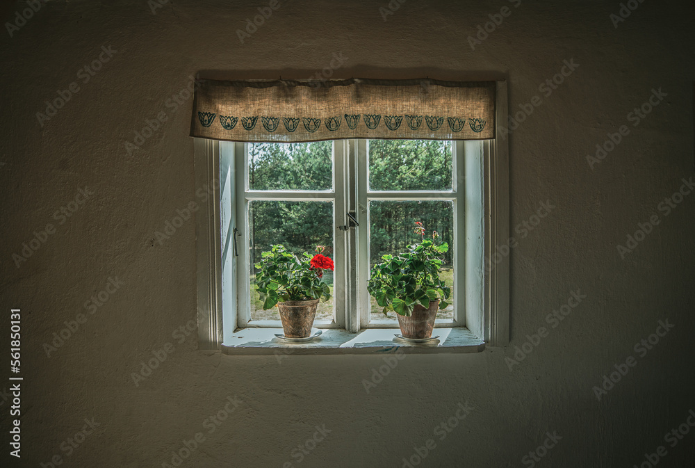 window with red pot flowers.