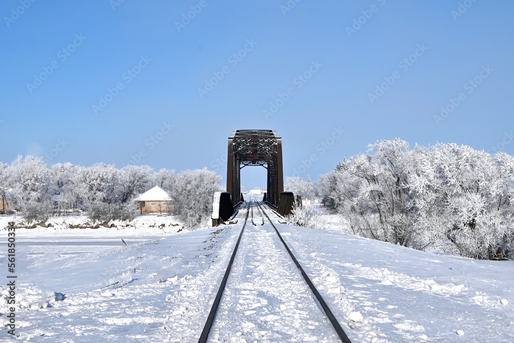 Fototapeta premium a railway bridge surrounded by frost covered trees