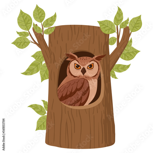 Owl in tree hollow. Cartoon forest bird sitting in oak nest, owl bird sit in woods house, wildlife bird flat vector illustration on white background