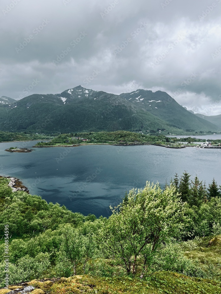 Obraz premium Fjords coastline, ocean bay coastline, cloudy foggy sky