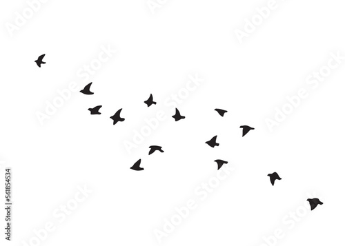 Flying Birds Group Vector Silhouette
