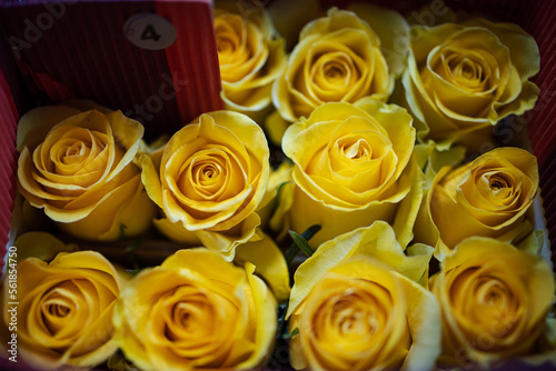 bouquet of roses close up texture background.