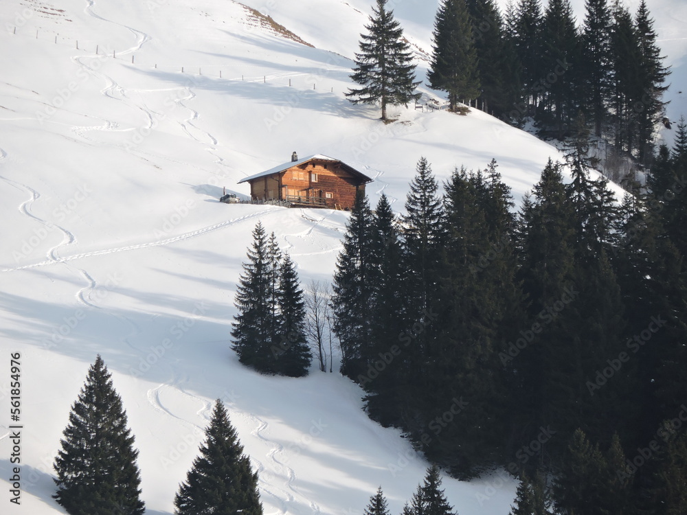 Naklejka premium winter landscape mountains snow quiet