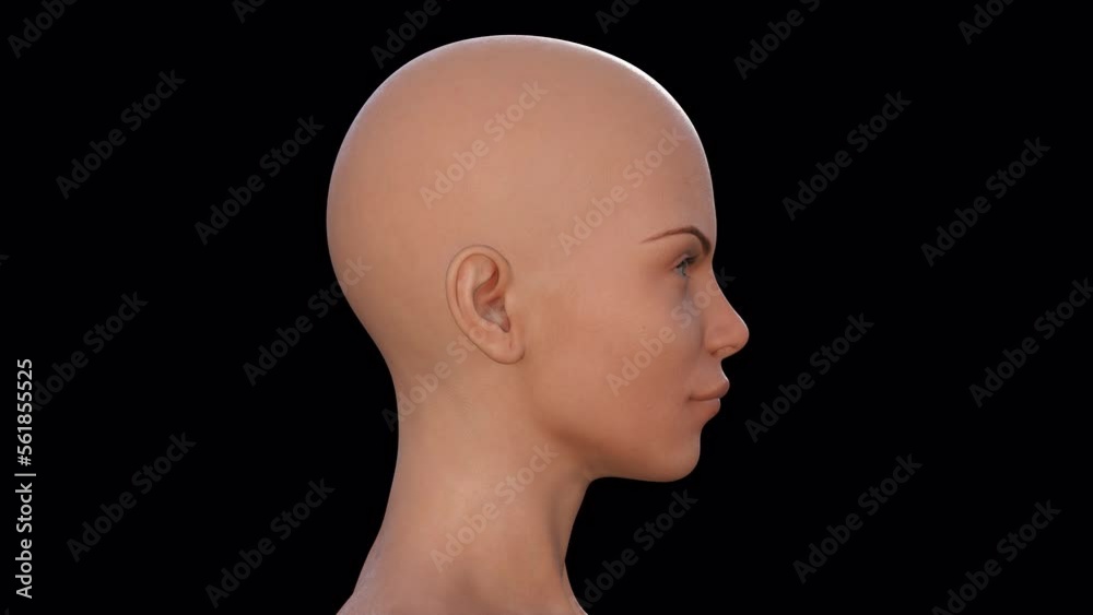 3d render of a spinning female head on a black background. Alpha channel. 3d render of a spinning female head on a black background. Alpha channel.