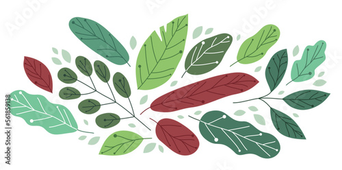 Beautiful fresh green leaves flat style vector illustration isolated on white, floral composition drawing, botanical design.