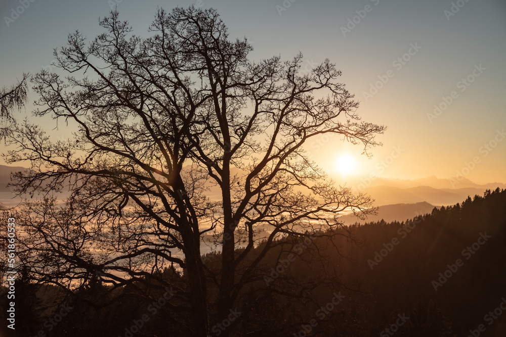 autumn sunset seen from Lorenziberg looking southwest over the foggy valleys of carinthia. autumn sunset seen from Lorenziberg looking southwest over the foggy valleys of carinthia.