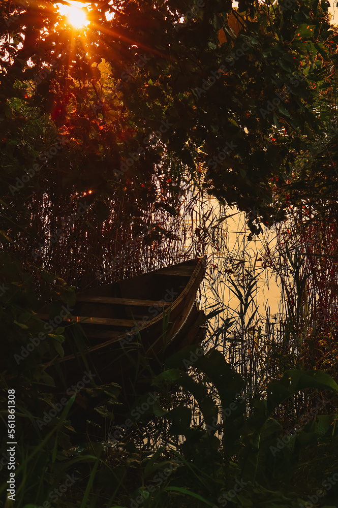 Boat on the lake at sunset. A boat on Sunset Lake in the bushes. The sun's rays. Summer landscape.The beauty of nature. Country life Boat on the lake at sunset. A boat on Sunset Lake in the bushes. The sun's rays. Summer landscape.The beauty of nature. Country life