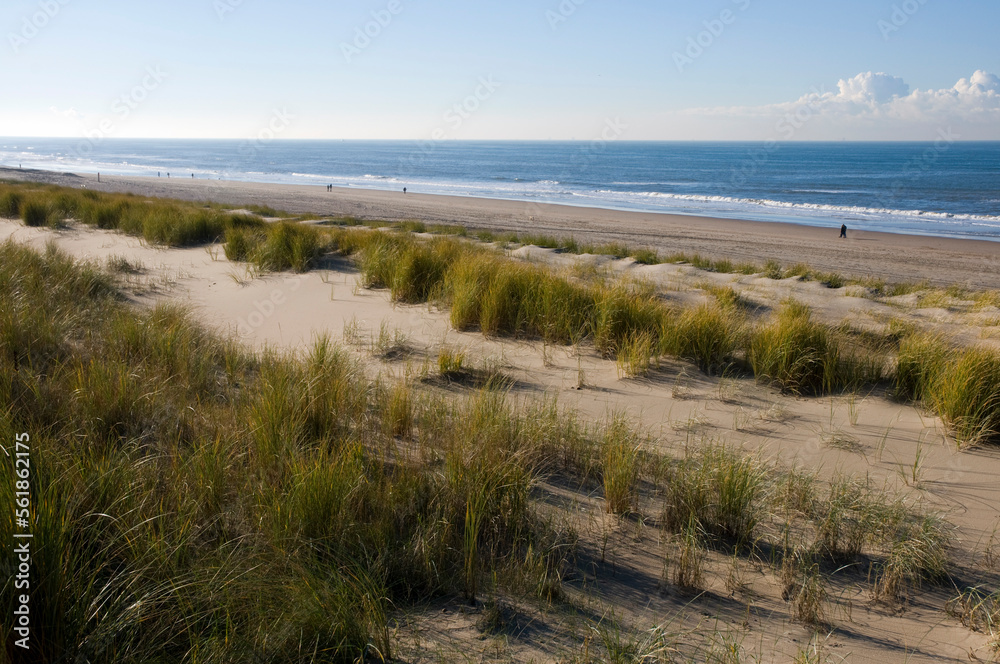 Looking across the sand dunes at Noordwijk on Sea towards the North Sea.  Dutch coast.