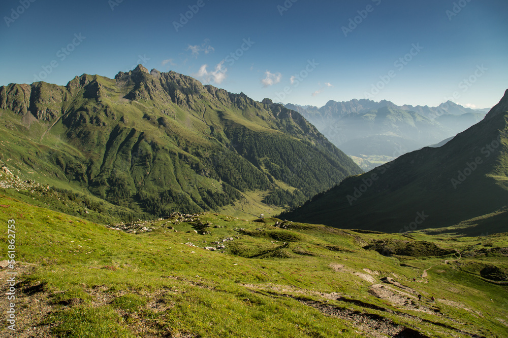 Fototapeta premium summer landscape in the carinc alps and month fleons standing tall.