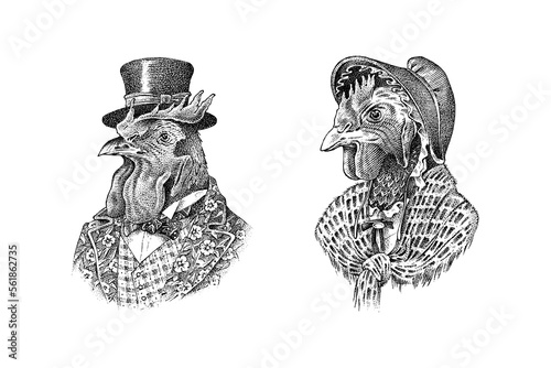 Rooster character in a hat. Chicken with a scarf. Fashionable Aristocrat or Rich Man. Hand drawn cockerel. Engraved old monochrome sketch.