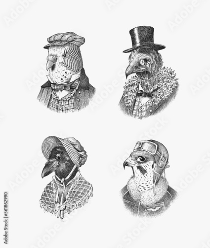 Bird character in a hat and suit. Crow Parrot Vulture, Peregrine falcon. The man in a suit. Fashionable Aristocrat. Hand drawn bird. Engraved old monochrome sketch.