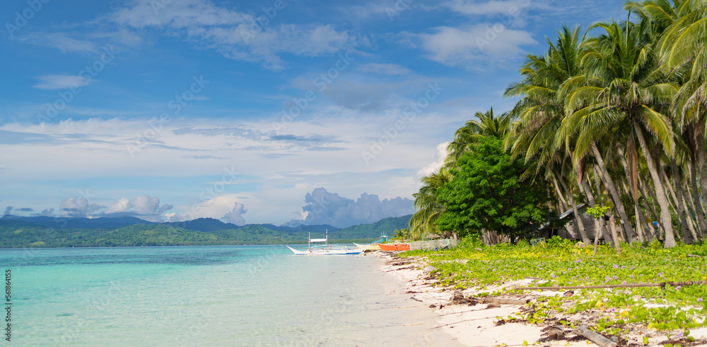 horizontal panoramic background of a colorful tropical beach with a blue sky, palm trees and boats of bright colors, copy space