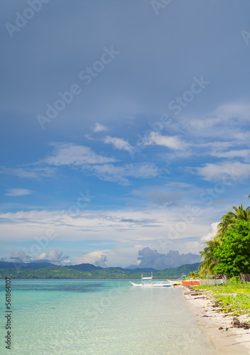 vertical photo of panoramic background of a colorful tropical beach with a blue sky, palm trees and boats of bright colors, copy space