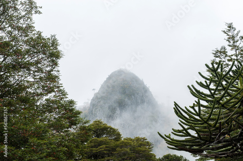 de invierno, nieve, árbol, paisaje, cielo, naturaleza, catarro, bosque, navida, blanco, hielo, árbol, escarcha, abeto, ciclos, azul, congelada, nube, sucursal, montagna, nube, escena, languidecer, nev photo