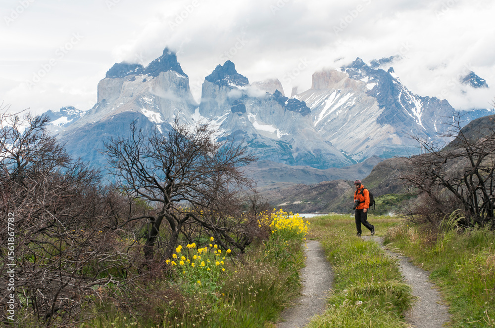 Fototapeta premium cuernos del paine, torres del paine, sur de chile, carretera austral, lago, montagna, acuático, naturaleza, paisaje, cielo, nieve, montagna, alaska, glaciar, nube, viajando, verano, bosque, escénic