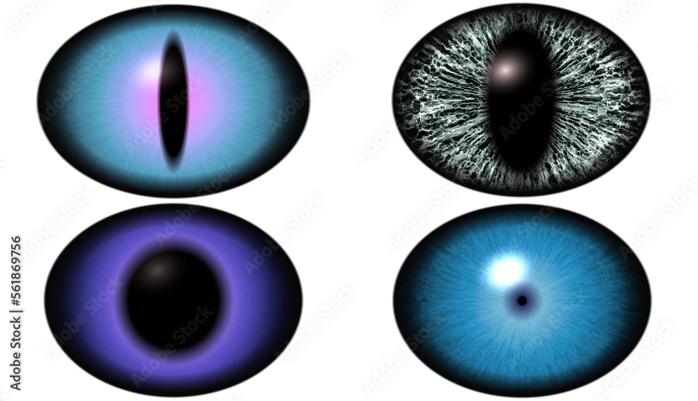 Set of colorful eyes watch. Eeptiles eyeball, cats or dragons. Set of colorful eyes watch. Eeptiles eyeball, cats or dragons.