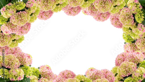 frame of flowers copy space for text with cut out isolated on background transparent