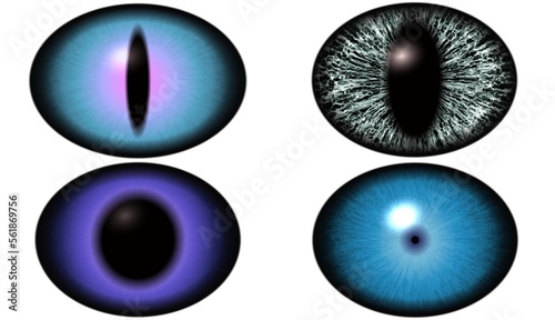 Set of colorful eyes watch. Eeptiles eyeball,  cats or dragons.