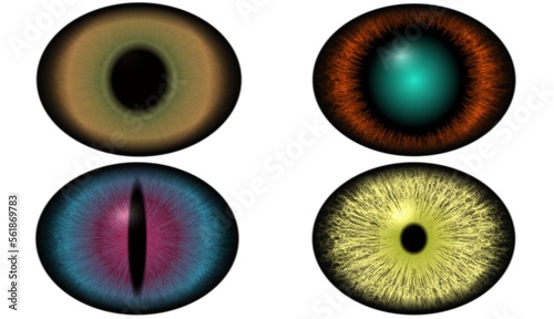 Brown eye with bright iris. Set of colorful eyes watch. Cats eye or dragons. Allien eye ball, predators and others