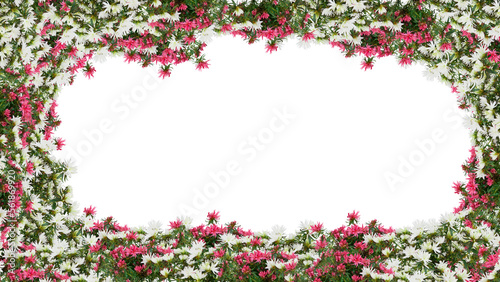 frame of flowers copy space for text with cut out isolated on background transparent © Little Studio1