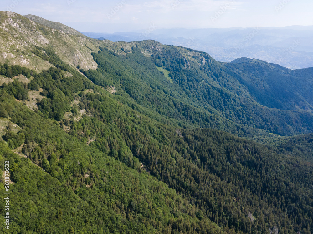 Naklejka premium Aerial view of Popovi Livadi Area, Pirin Mountain, Bulgaria