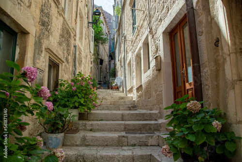 street in the old town © FFFDDS