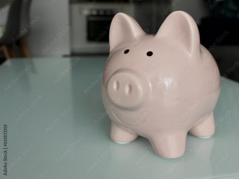 piggy bank with a coin piggy bank with a coin