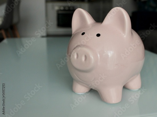 piggy bank with a coin