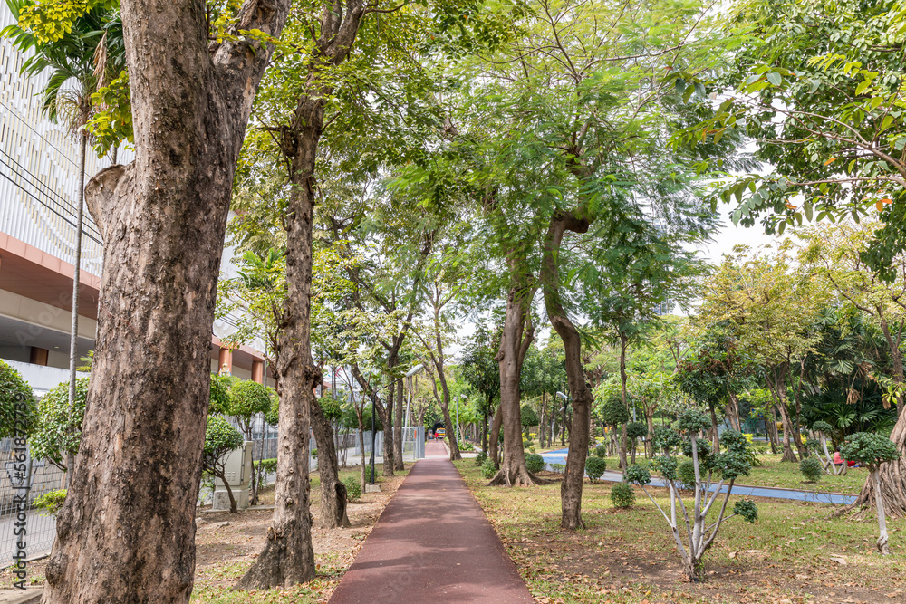 Walkway in a natural park with good weather Walkway in a natural park with good weather