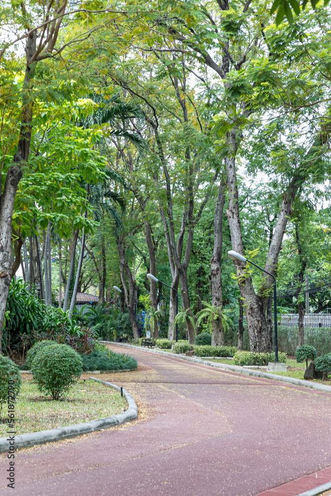 Walkway in a natural park with good weather Walkway in a natural park with good weather