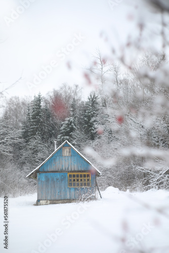 winter landscape panorama with wooden house in the forest. Snow covered hut. Christmas holiday and winter vacations concept © paralisart