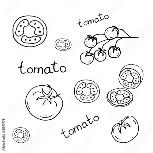 Doodle tomatoes, tomato slices, Cherry, lettering. Line art black and white style. Vector illustration.